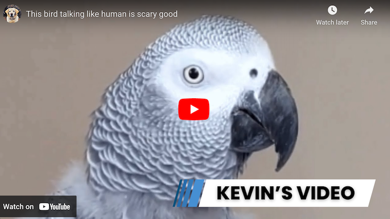 kevin-video-jan-26