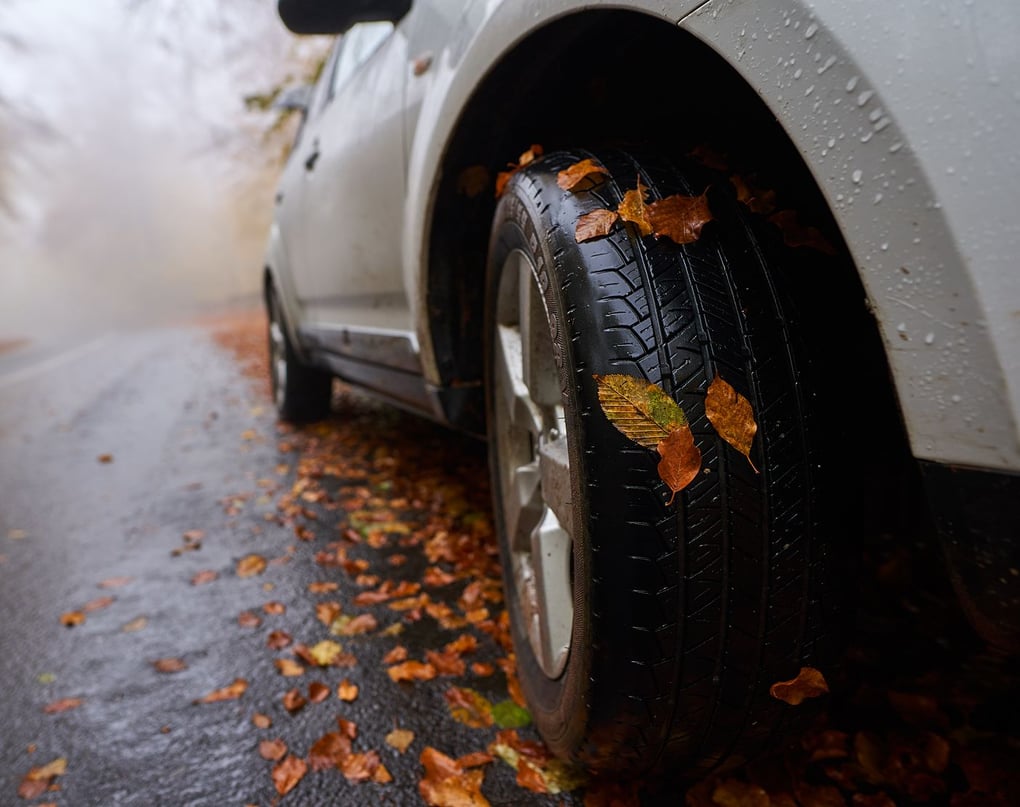 Driving on wet leaves is just as dangerous as driving on ice