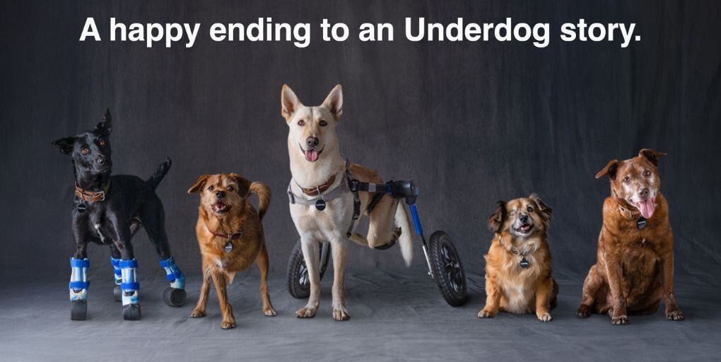 subaru-underdogs-credit-subaru